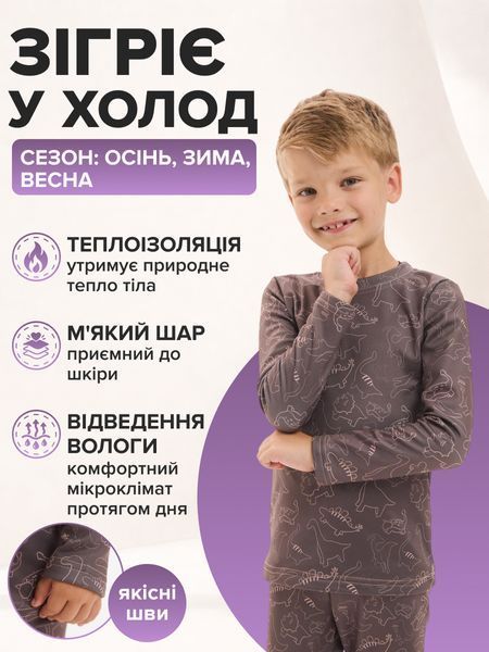 Термобілизна дитяча для хлопчика на флісі з принтом Діно, комплект кофта та штани, шоколадна, на зріст 98 см 10008_98 фото
